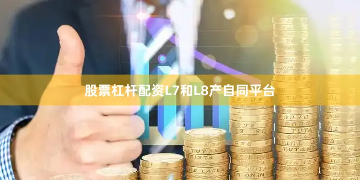 股票杠杆配资L7和L8产自同平台